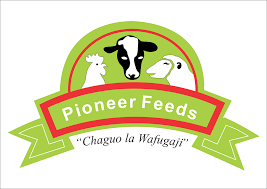 Pioneer Feeds Ltd